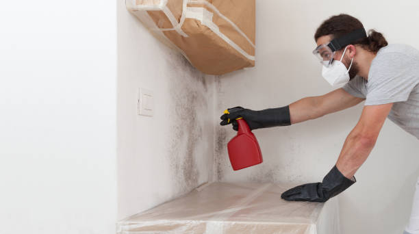 Professional Commercial Mold Remediation technician working in Harrington Park, NJ