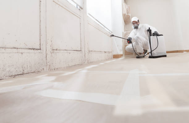 24/7 Emergency Commercial Mold Remediation experts in Harrington Park, NJ